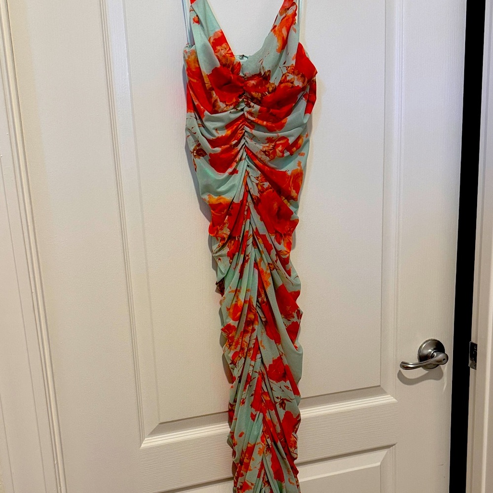 Rose Velvet Mint Green with Coral Rose dress- Beautiful !
100% REGAL.